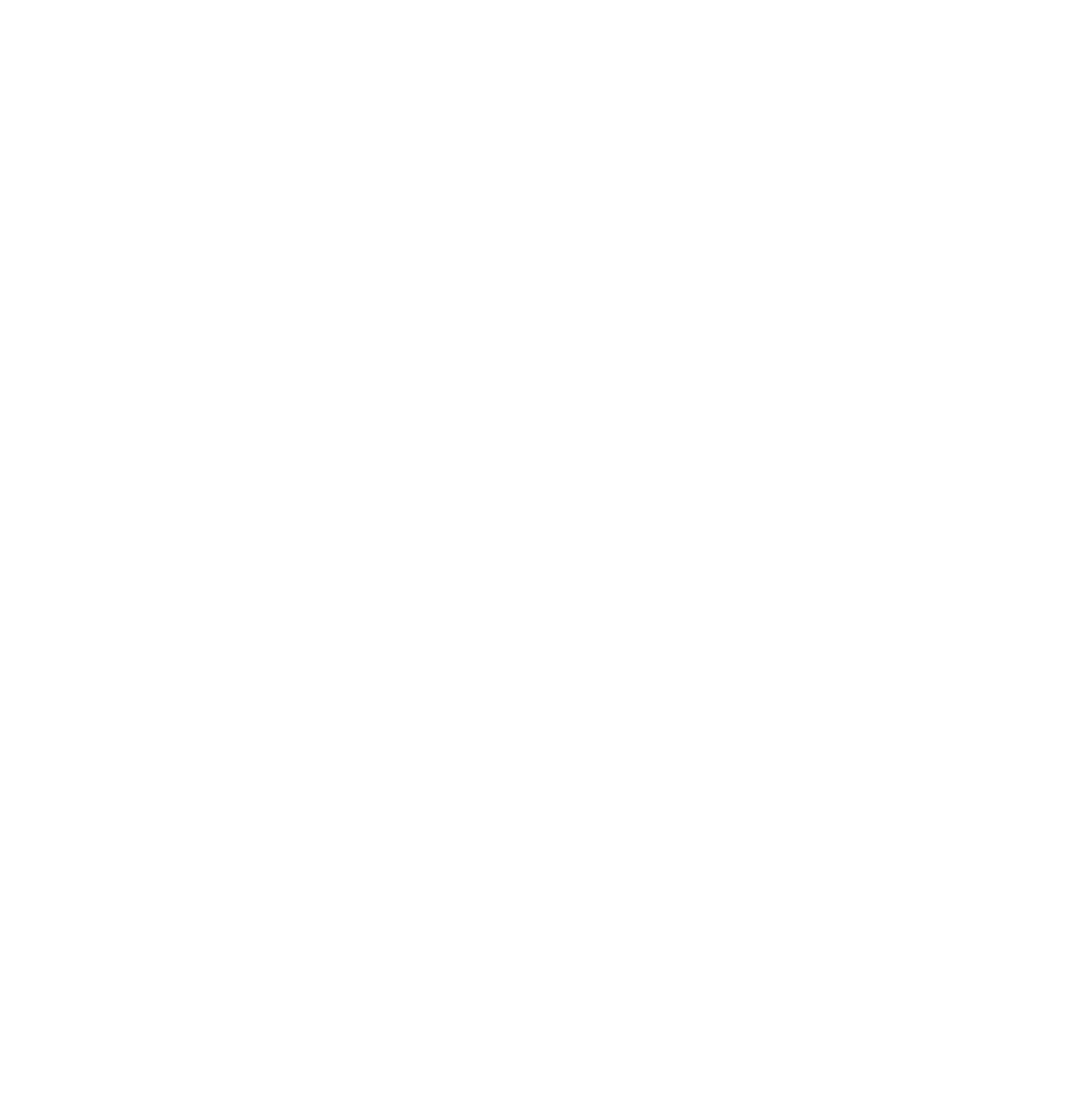 accessnow logo